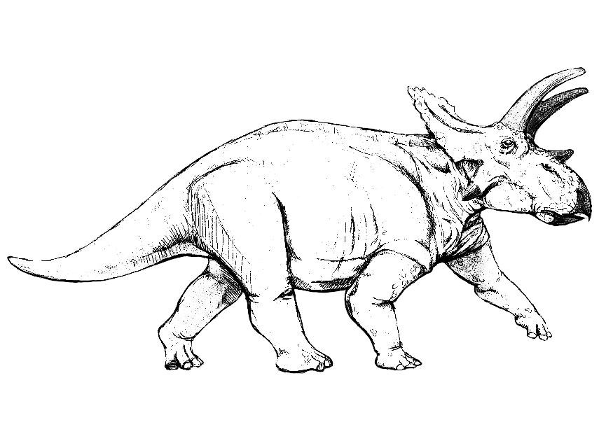 dinossauro anchiceratops Página para colorir dinossauro anchiceratops