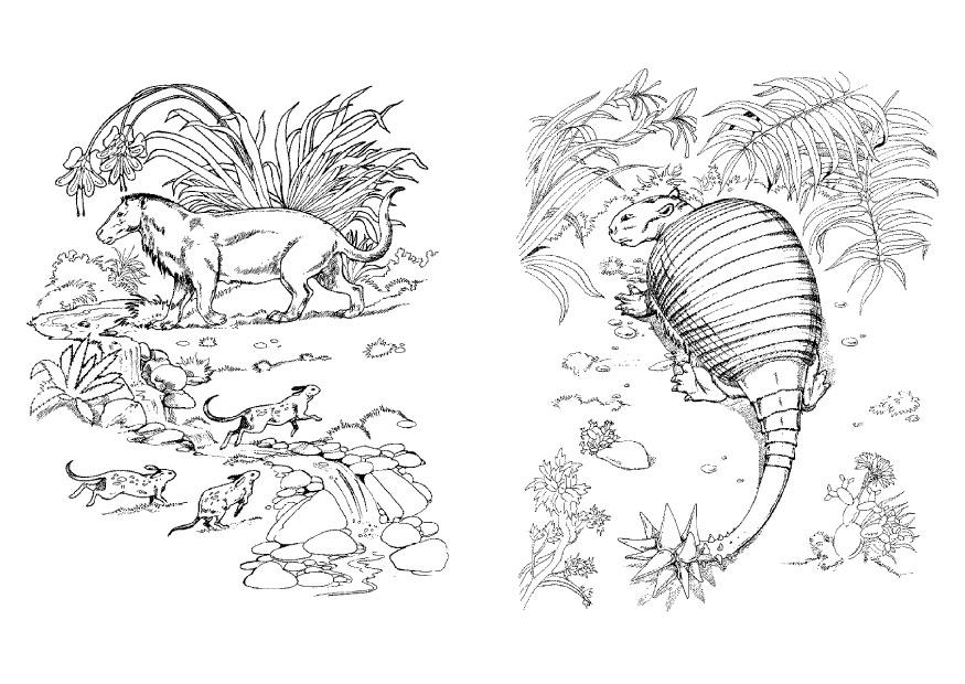 dinossauro e predador Página para colorir dinossauro e predador