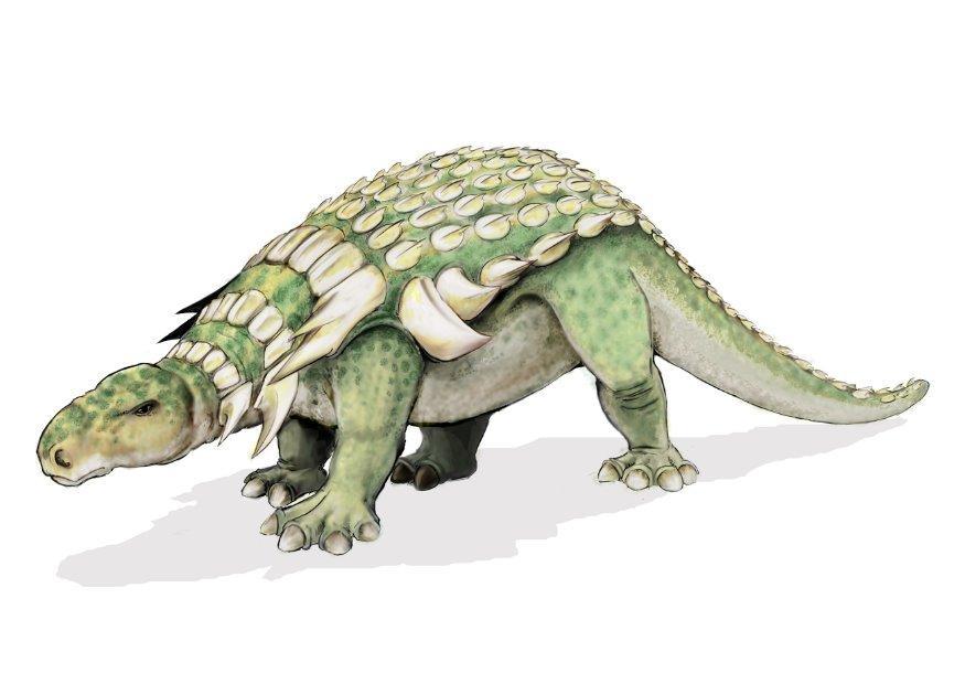 dinossauro edmontonia imagem dinossauro edmontonia