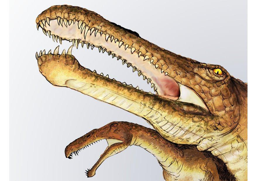 dinossauro irritator imagem dinossauro irritator