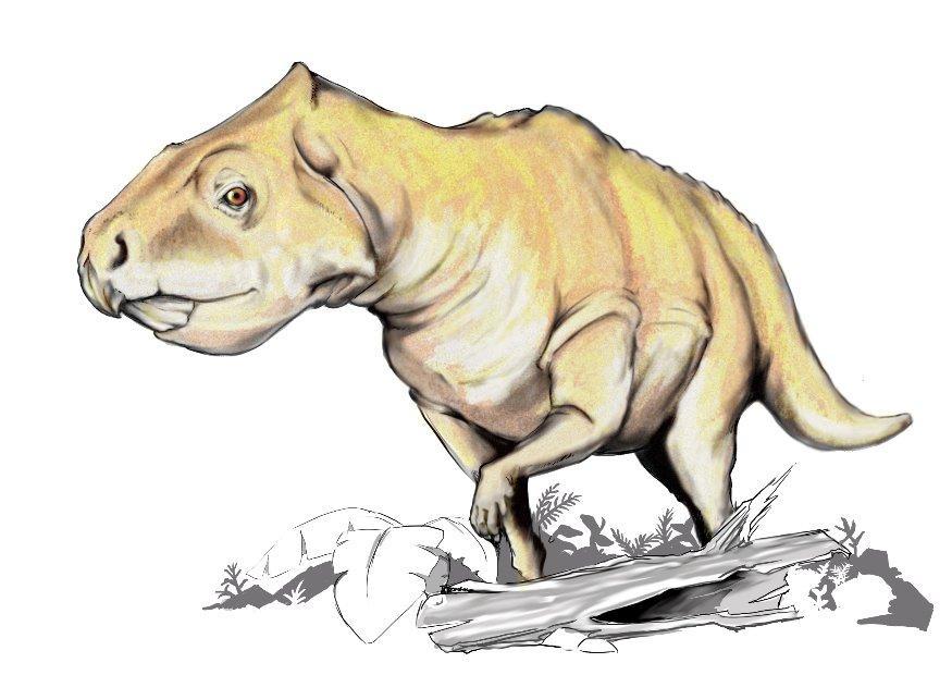 dinossauro prenoceratops imagem dinossauro prenoceratops