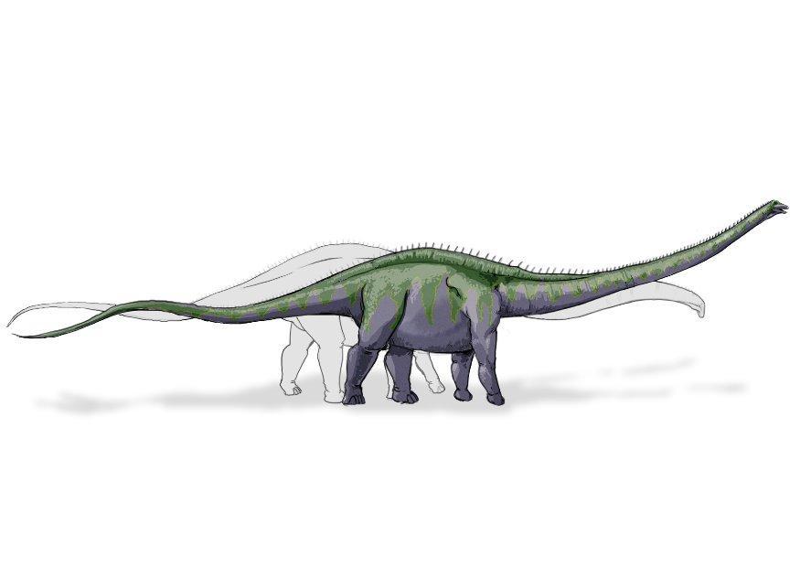 dinossauro supersauro imagem dinossauro supersauro
