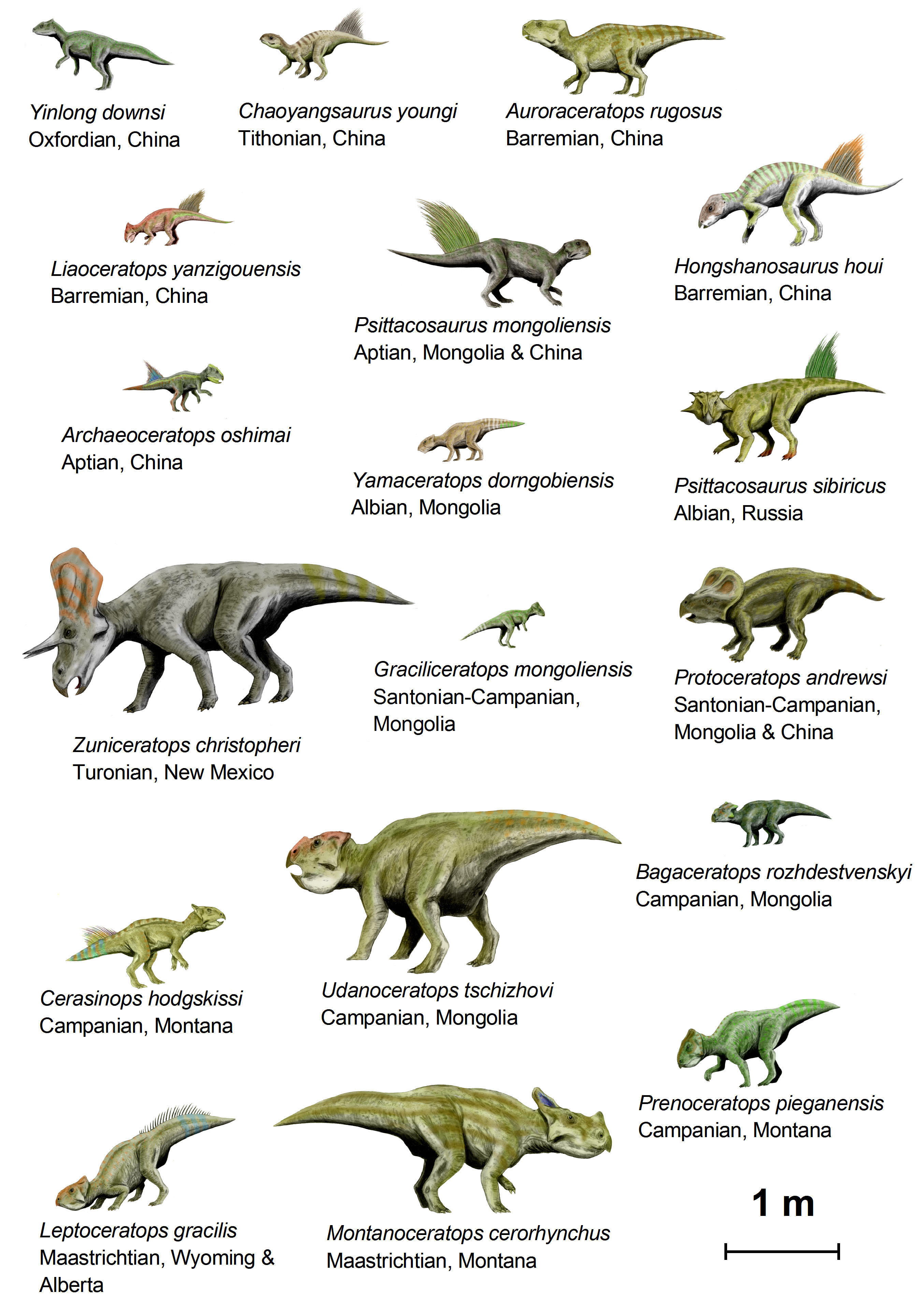 dinossauros (basal ceratopsia) imagem dinossauros (basal ceratopsia)