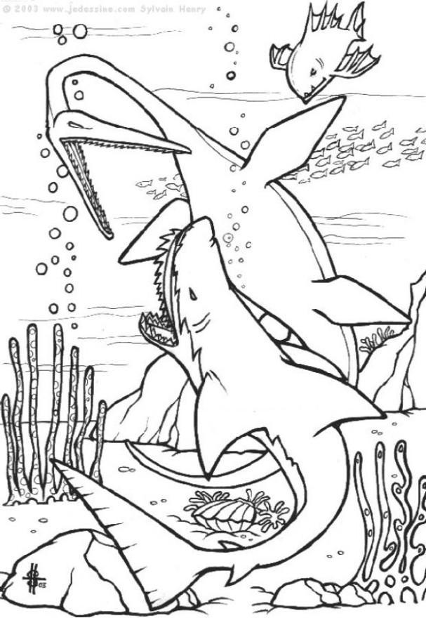 dinossauros embaixo dA¡gua Página para colorir dinossauros embaixo dA¡gua