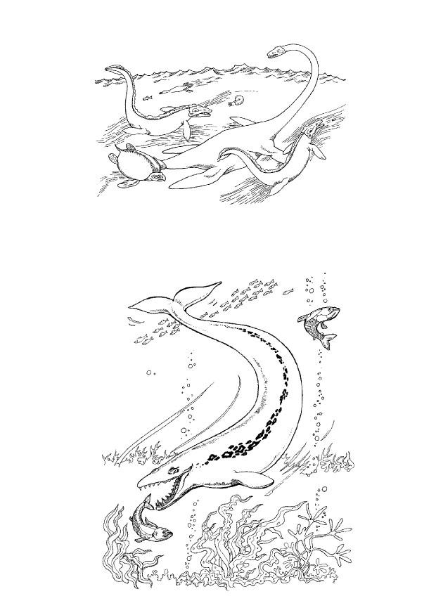 dinossauros marinhos Página para colorir dinossauros marinhos