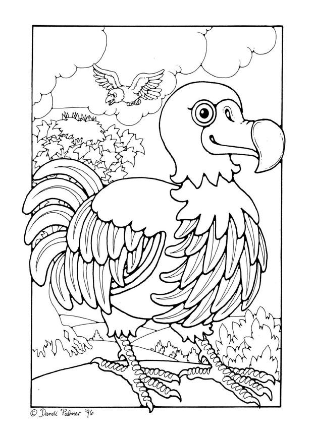 dodo Página para colorir dodo