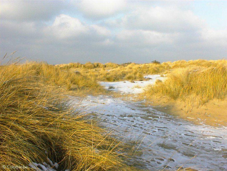 dunas 4 Foto dunas 4