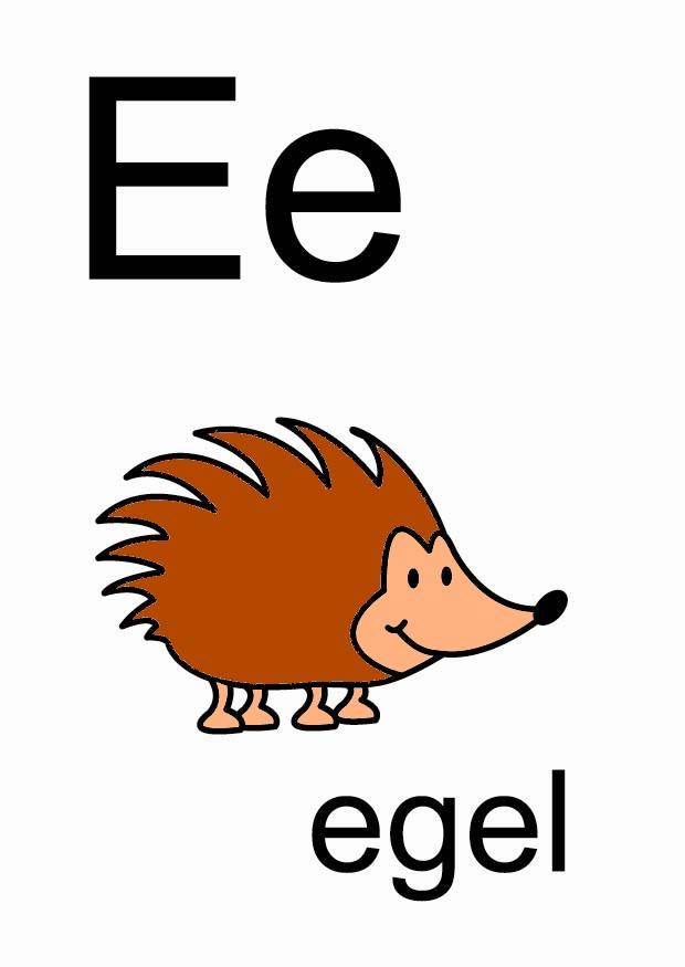 e imagem e