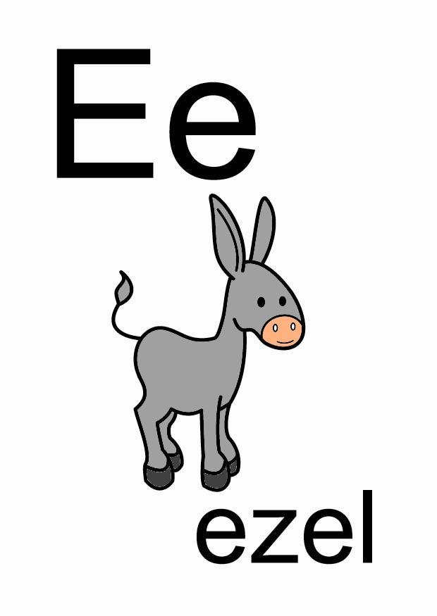 e imagem e