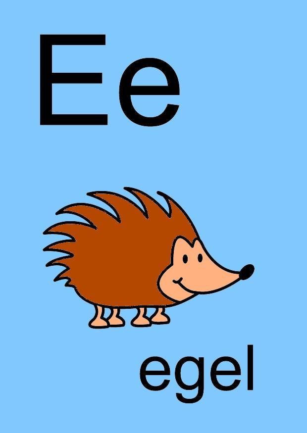 e imagem e
