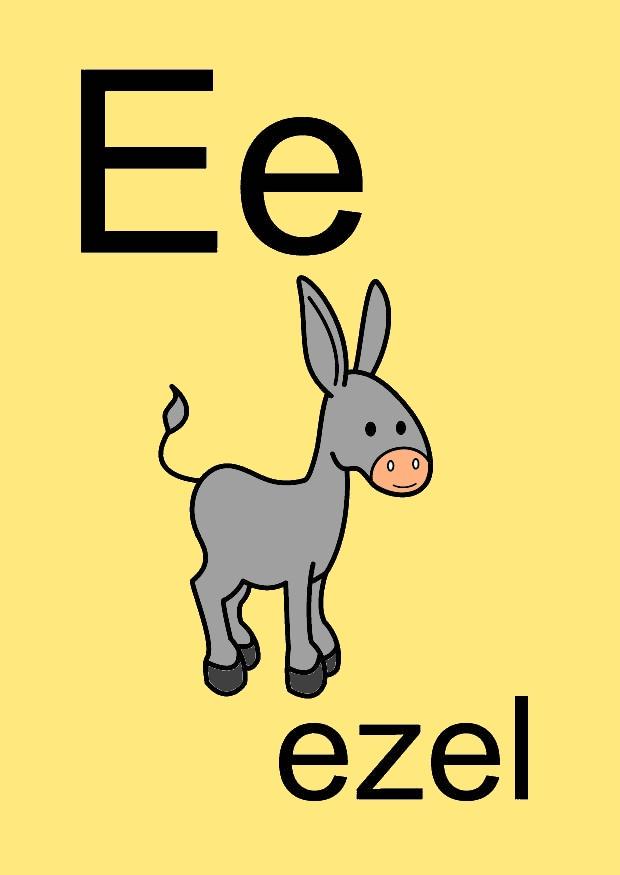 e imagem e