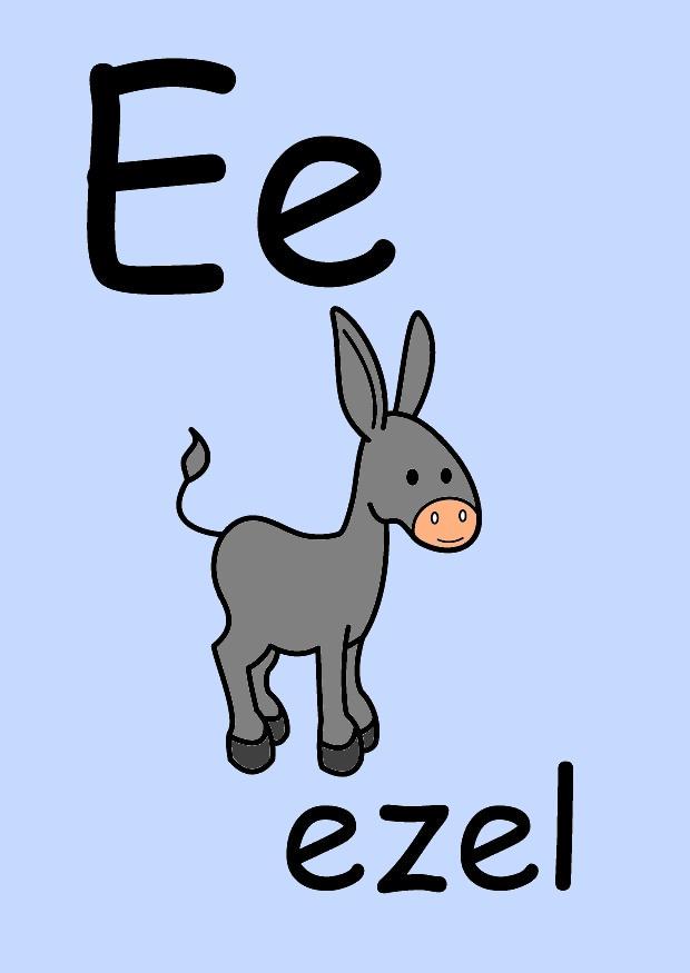 e imagem e
