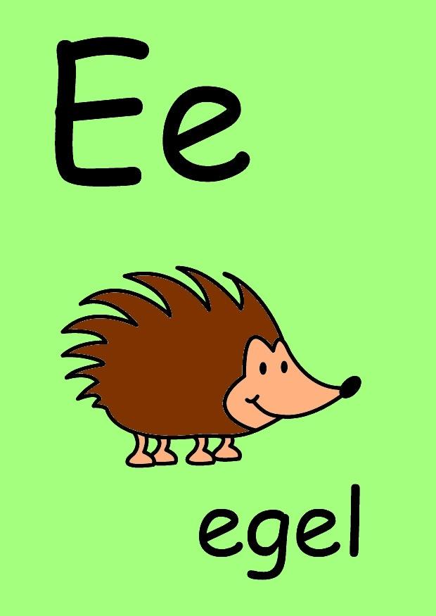 e imagem e