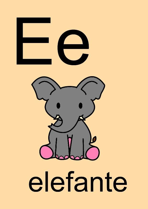 e imagem e