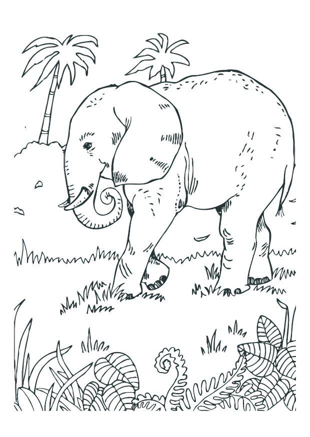 elefante Página para colorir elefante