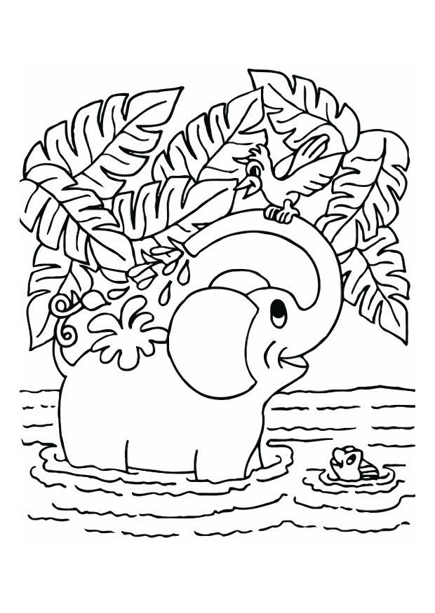 elefante Página para colorir elefante
