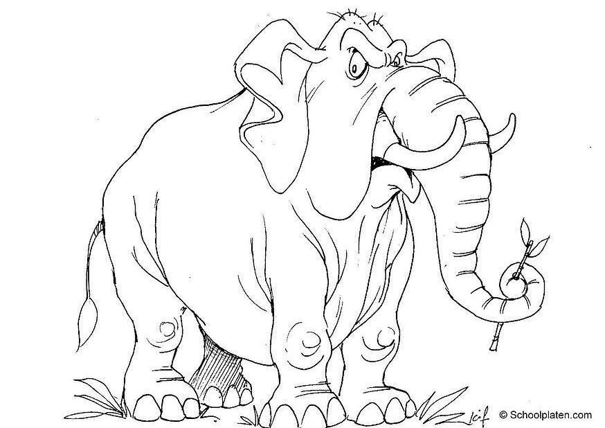 elefante Página para colorir elefante