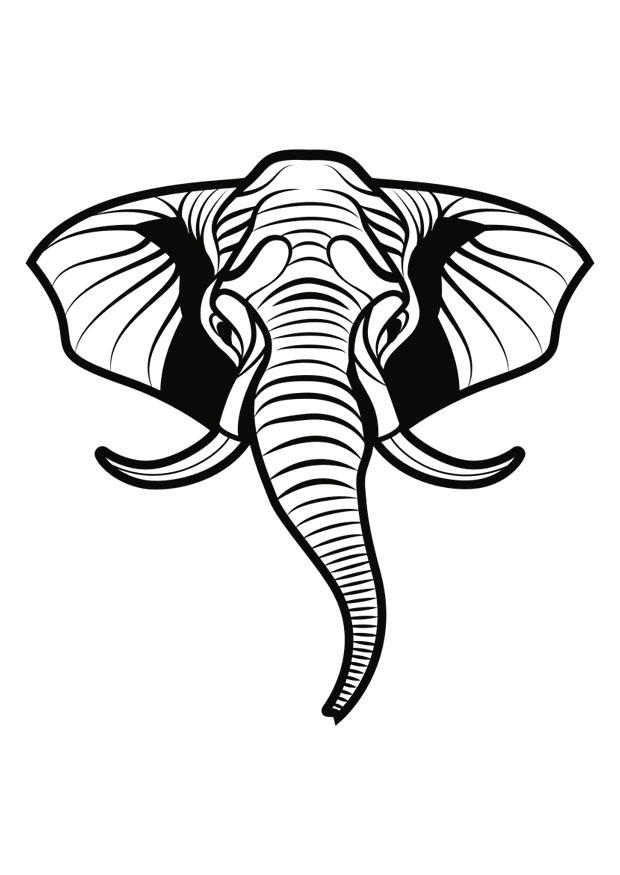 elefante Página para colorir elefante
