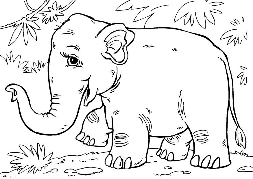 Página para colorir elefante asiA¡tico