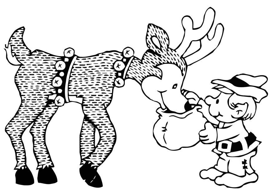 elfo e rena Página para colorir elfo e rena