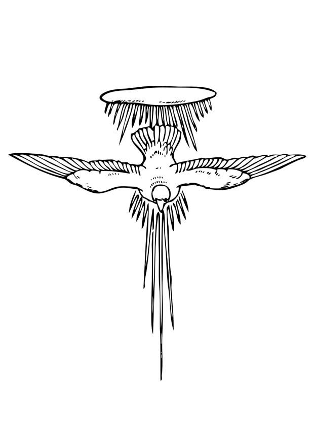 espirito santo Página para colorir espirito santo