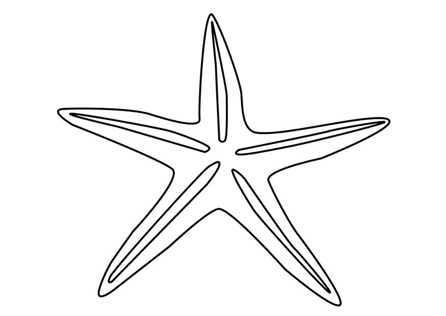 estrela do mar Página para colorir estrela do mar