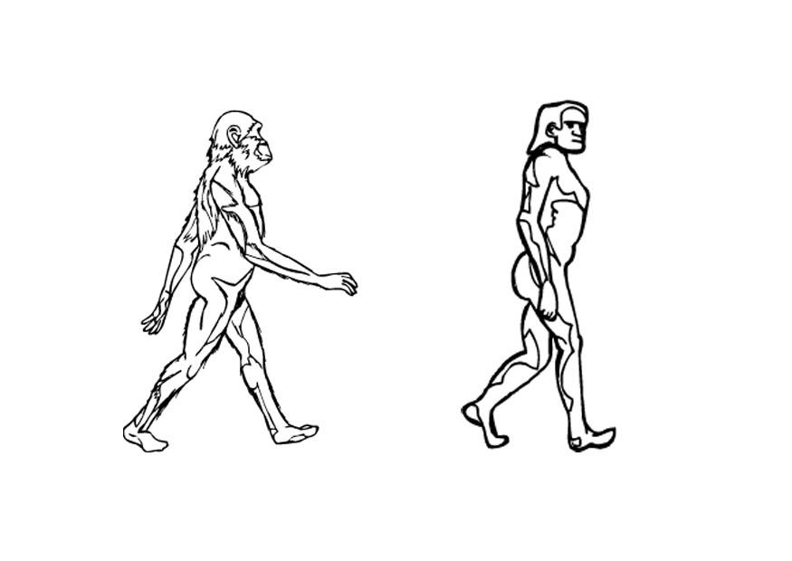 Página para colorir evoluA§A£o