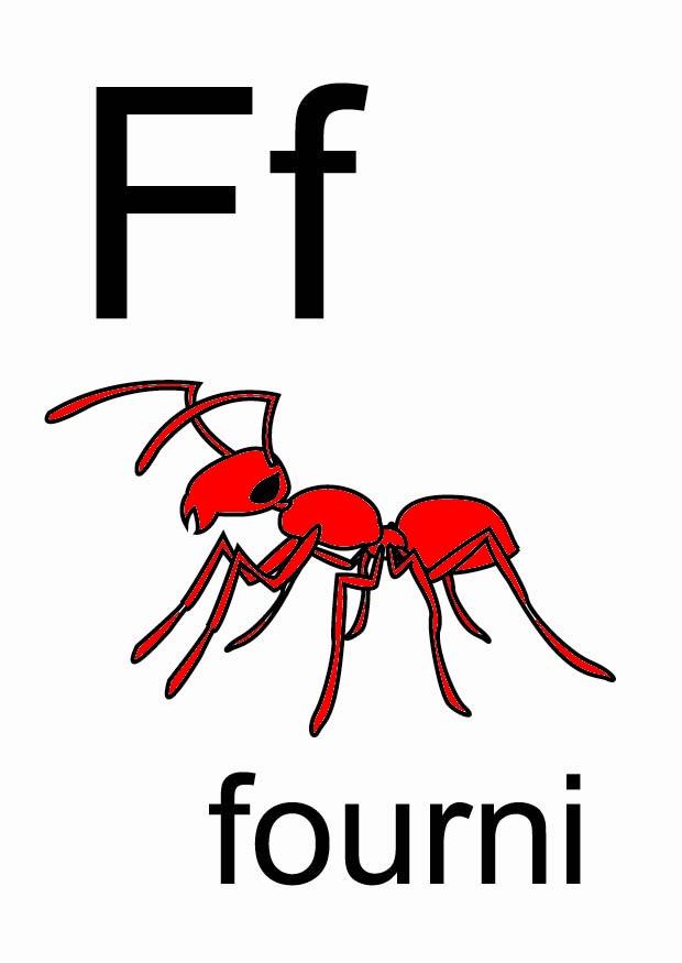 f imagem f