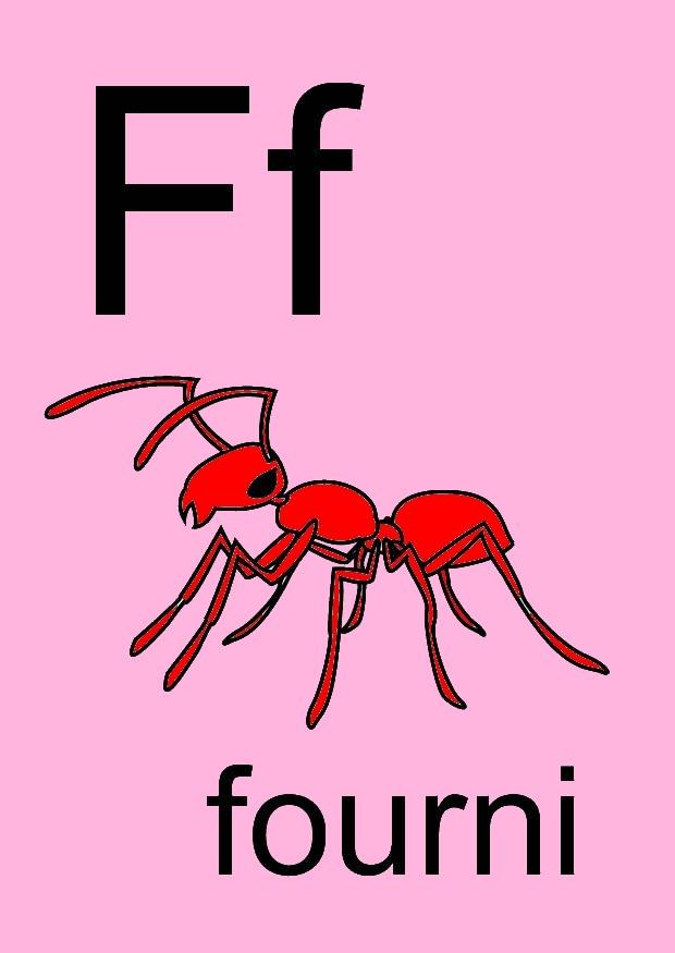 f imagem f