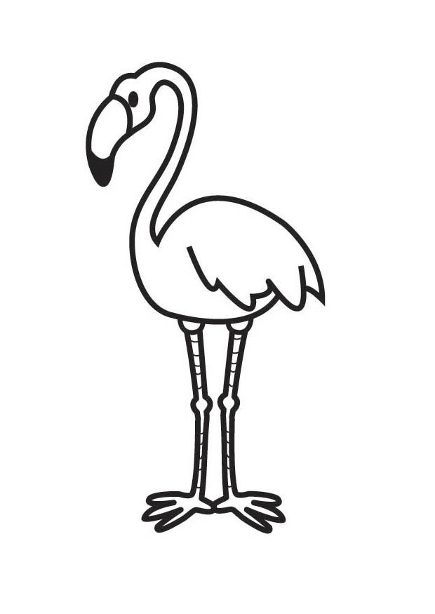 flamingo Página para colorir flamingo