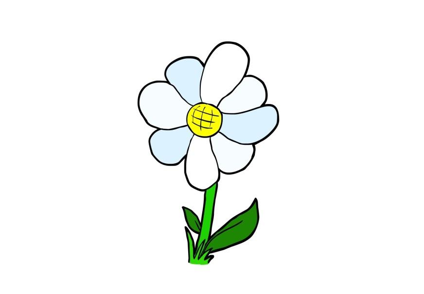 flor imagem flor