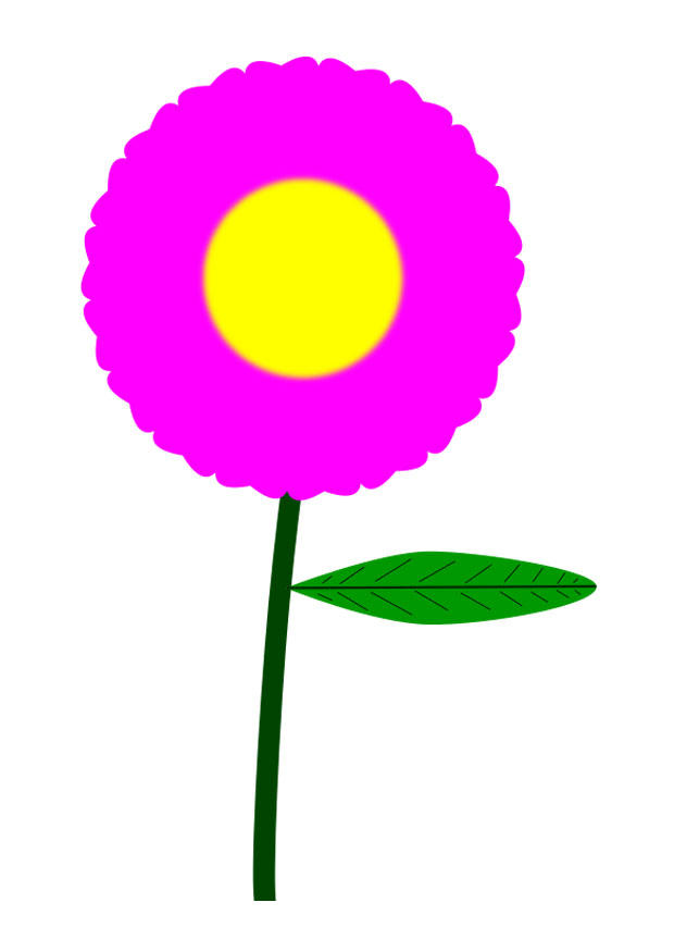 flor imagem flor