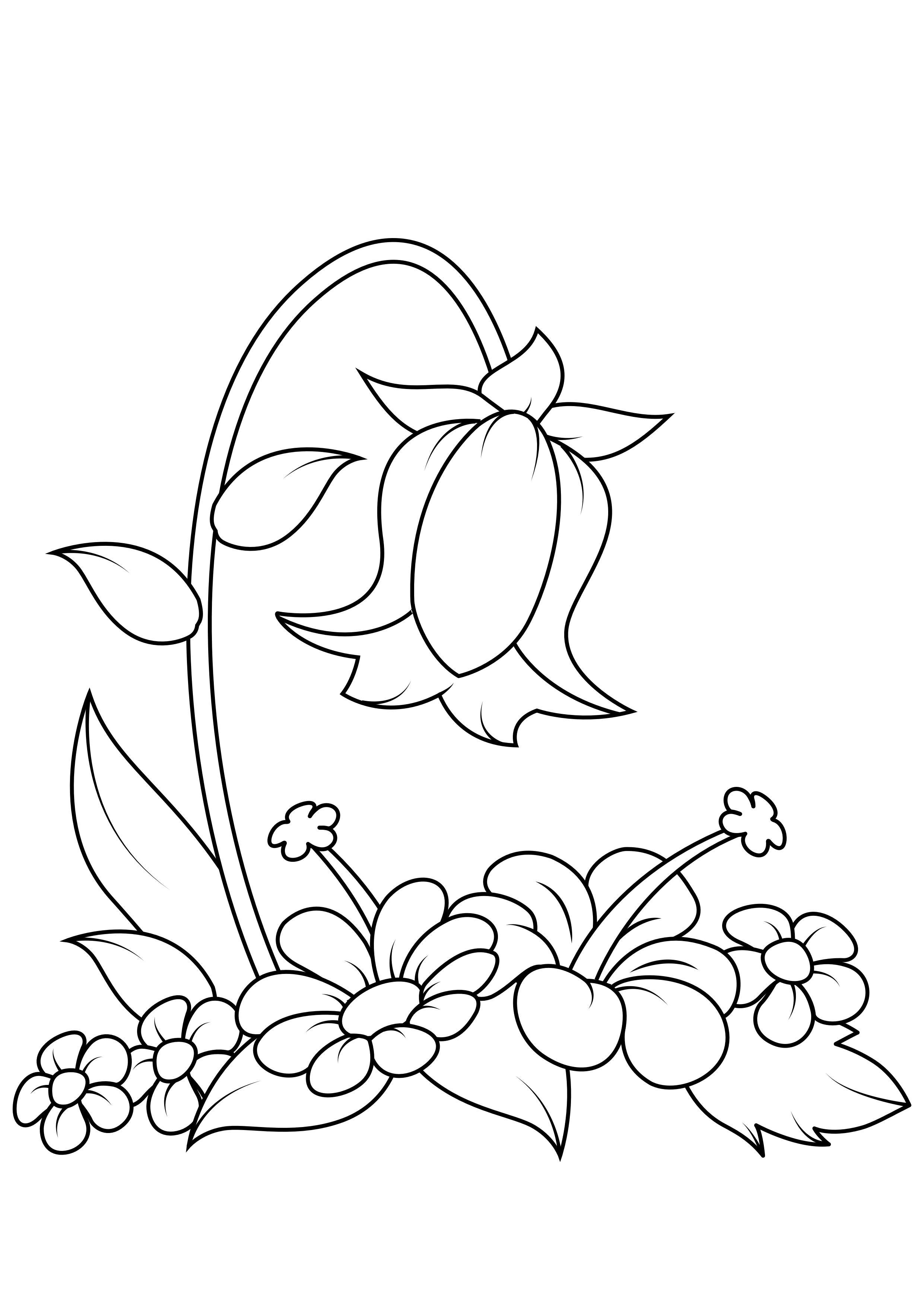 flor Página para colorir flor