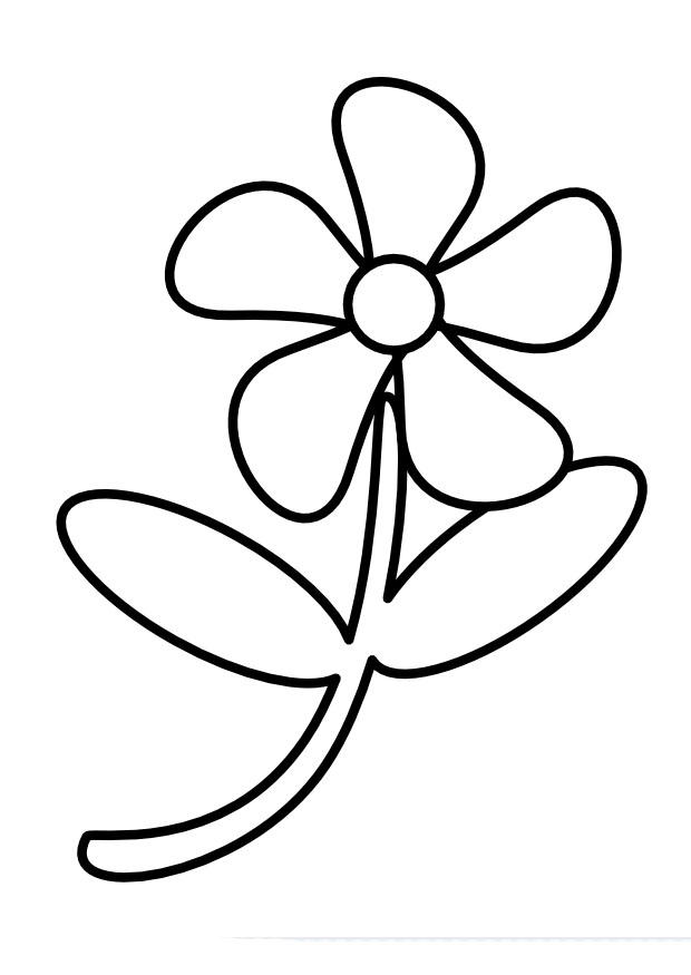 flor Página para colorir flor