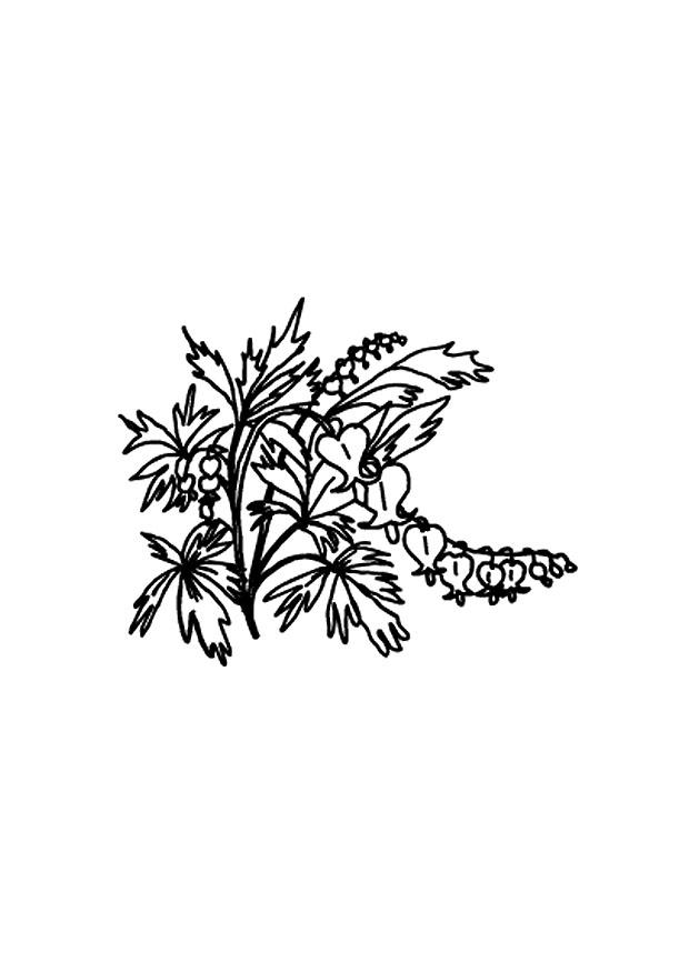 Página para colorir flores