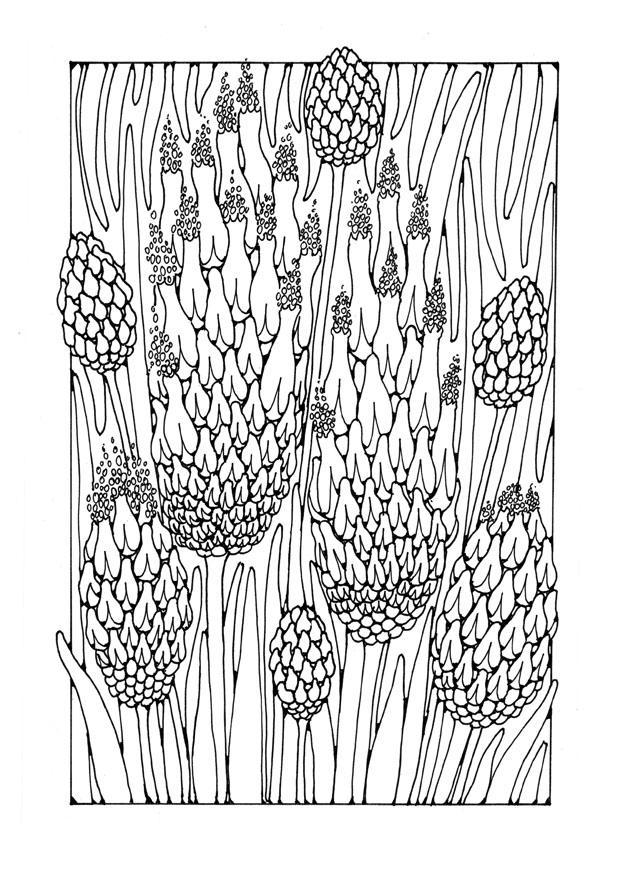 flores Página para colorir flores