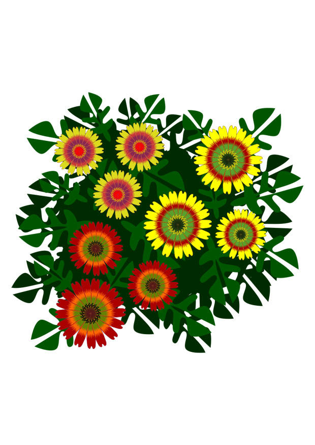 flores imagem flores