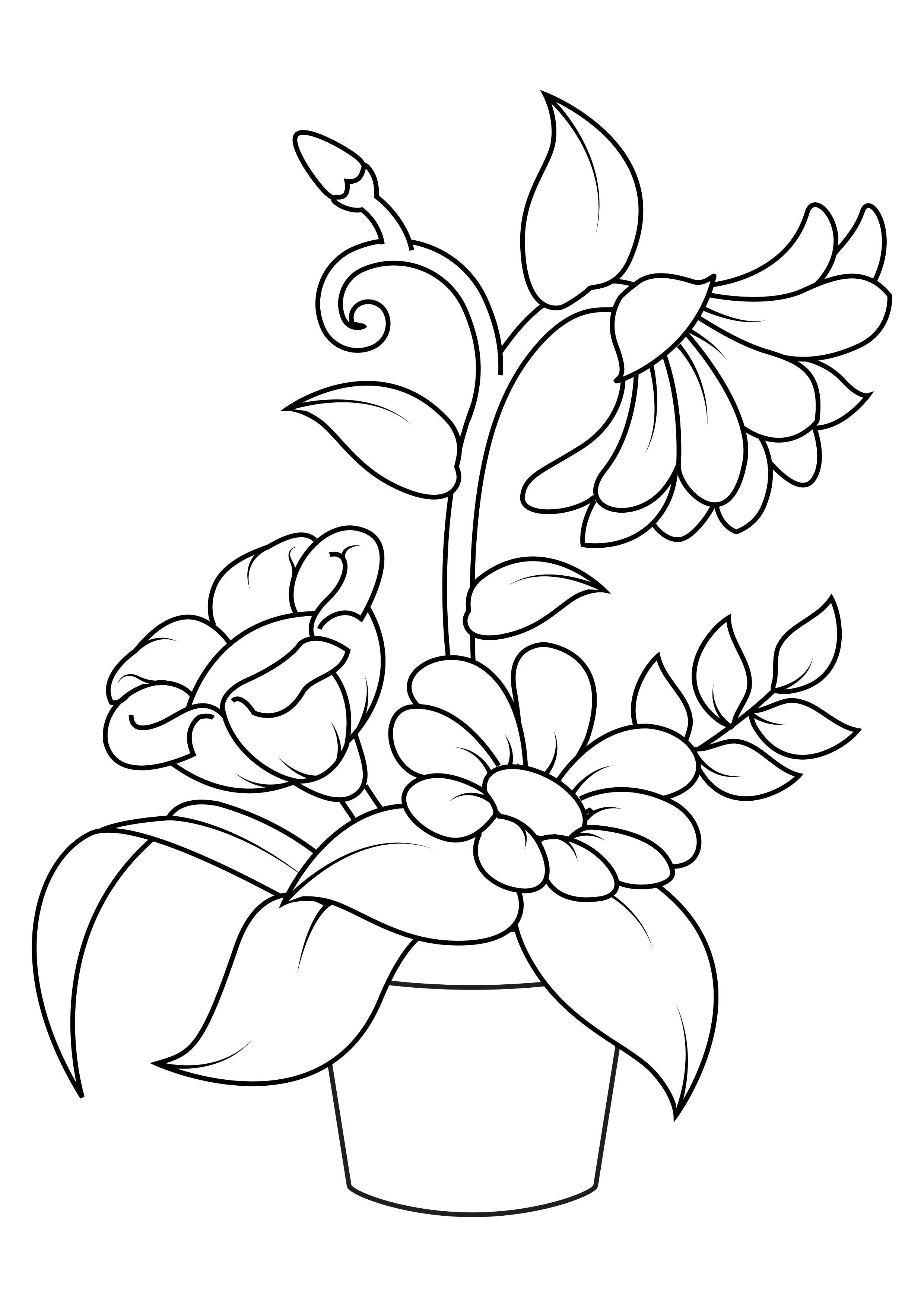 Página para colorir flores