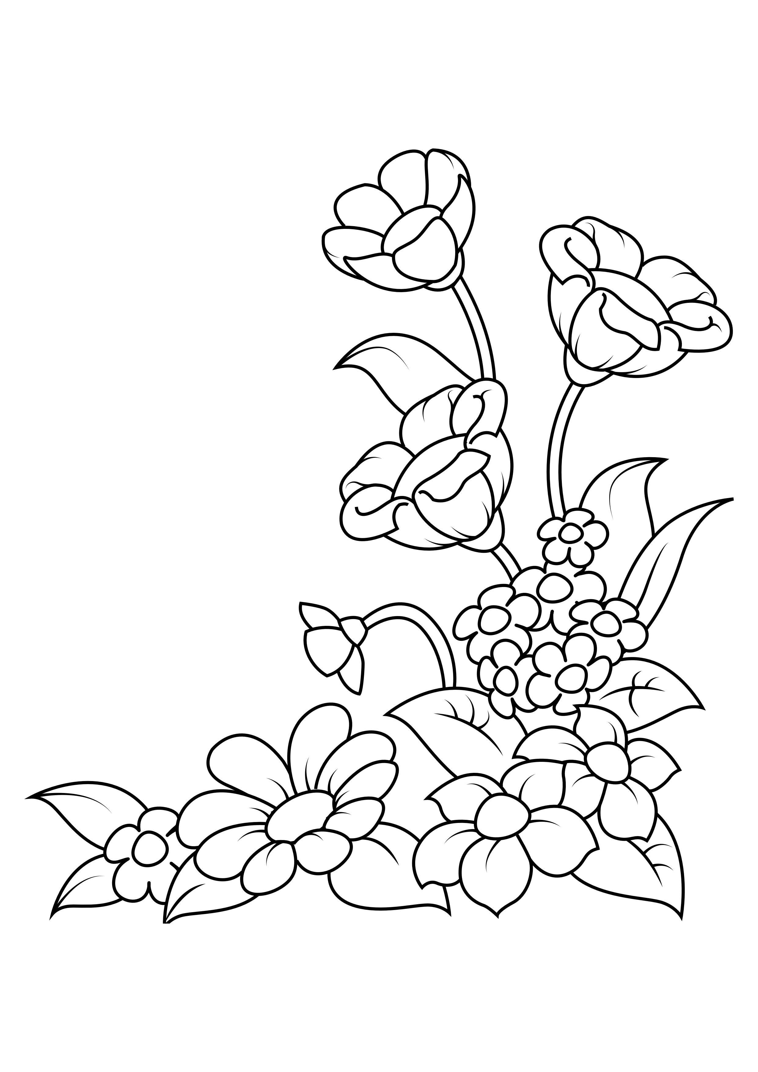 flores Página para colorir flores