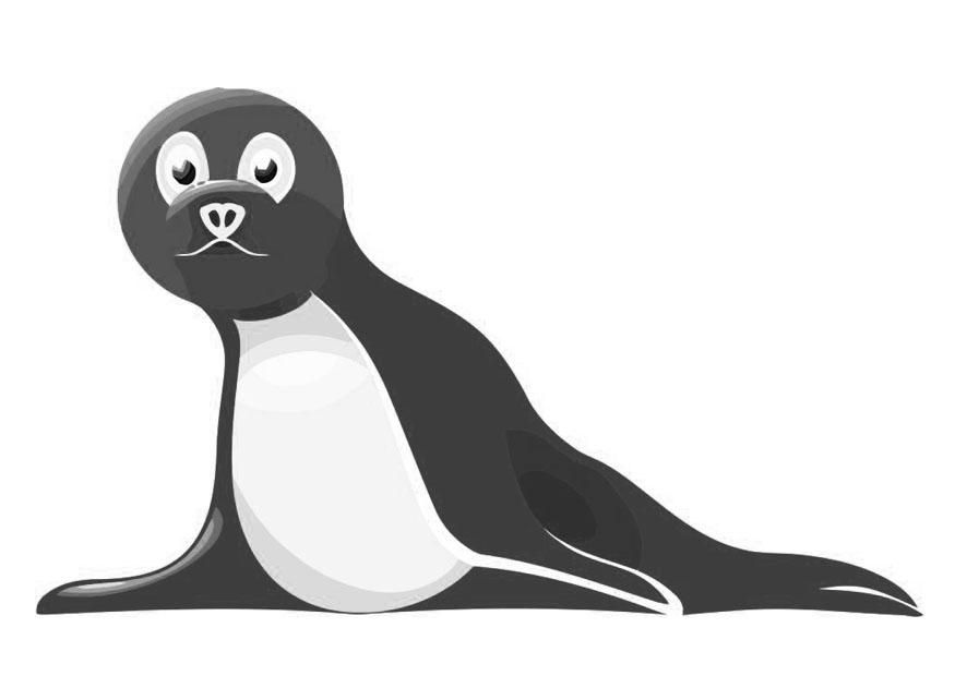 foca Página para colorir foca