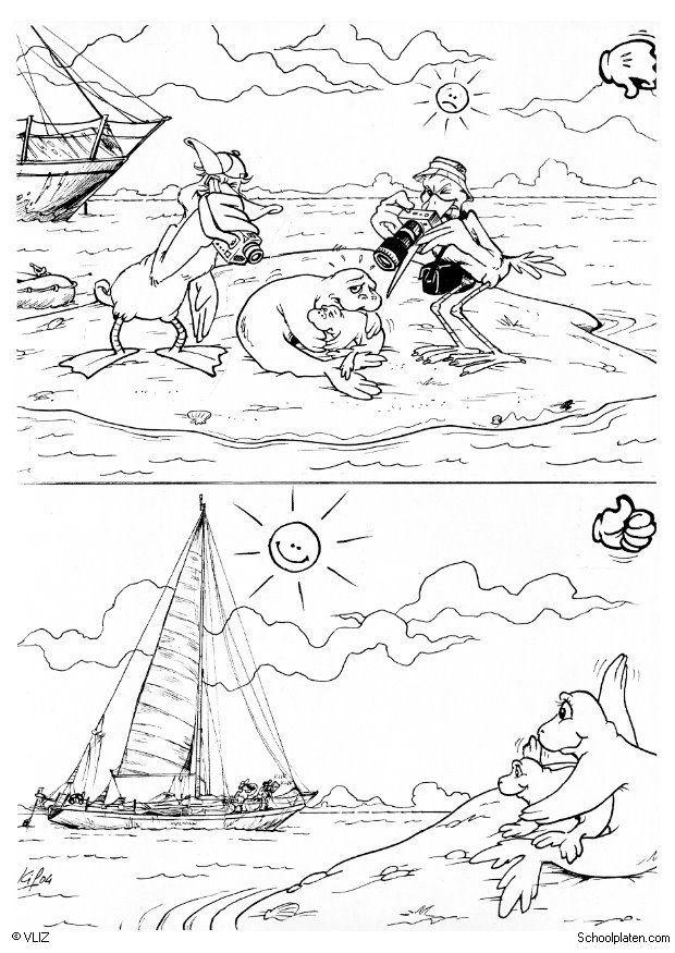 foca Página para colorir foca