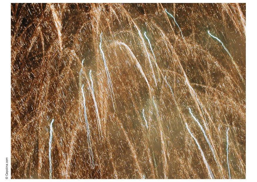 fogos de artifAcio Foto fogos de artifAcio