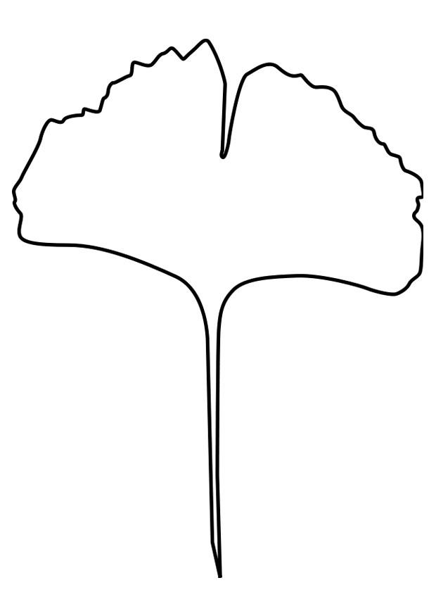 folha de ginko Página para colorir folha de ginko