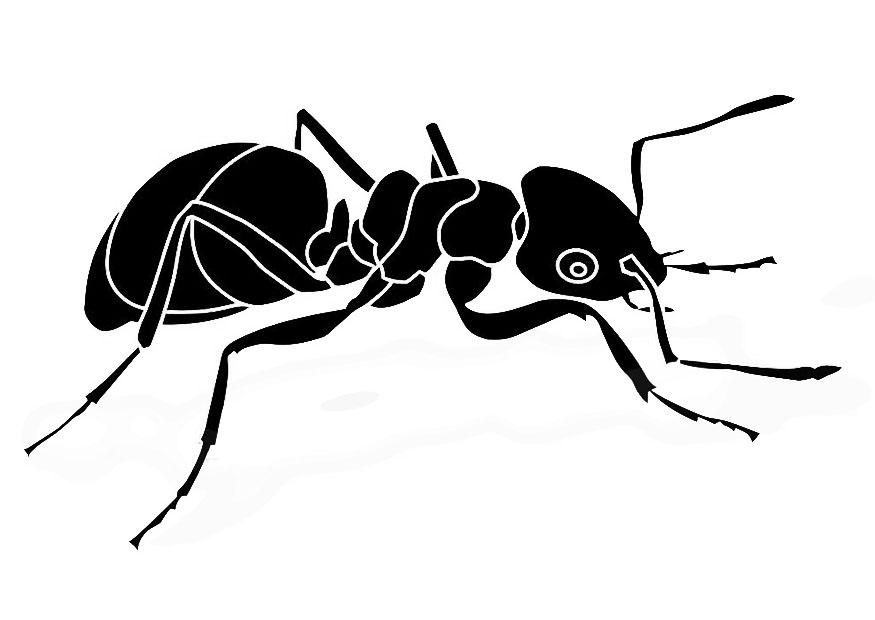 formiga Página para colorir formiga