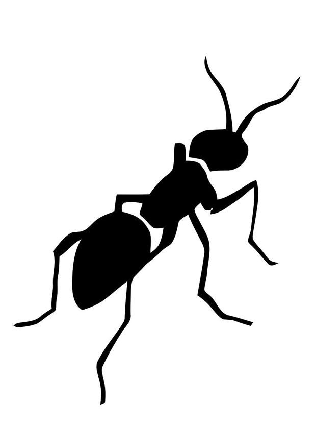 formiga Página para colorir formiga