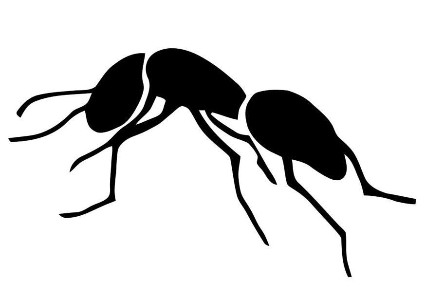 formiga Página para colorir formiga