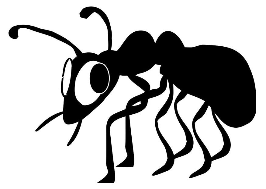 formiga Página para colorir formiga