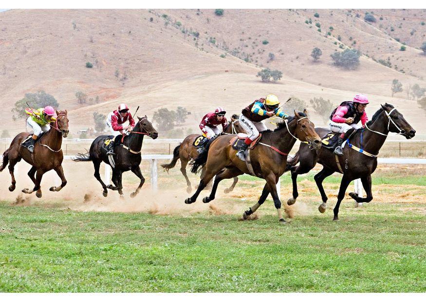 Foto corrida de cavalos