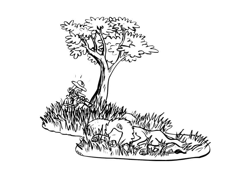 fotA³grafo Página para colorir fotA³grafo