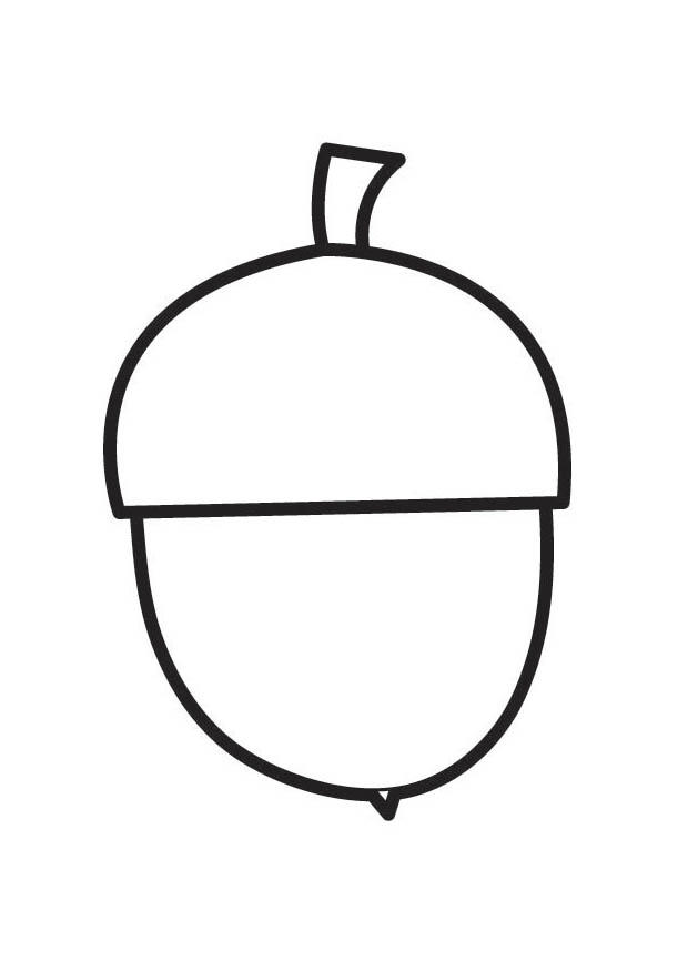 Página para colorir fruto do carvalho 